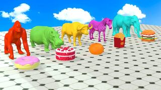 Choose The Right Drink Game With Elephant Gorilla Cow Zebra Hippopotamus - Wild Animal Game 2024