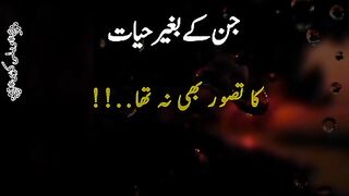 Hayat ka tasawar