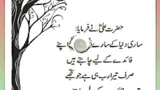 اسلامی معلومات Like share follow 475