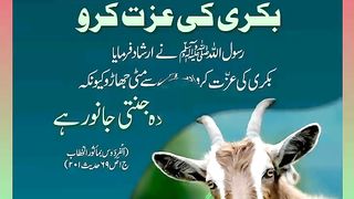 اسلامی معلومات Like share follow 479