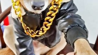 Funyclips, a biker dog drinking beer