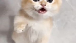 Милашки 77