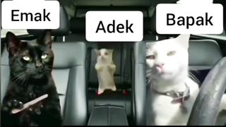 Liburan Akhir Pekan Keluarga Gemoy