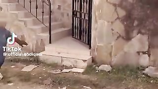 #funny_#funnyshorts_????????????(360p)(1).