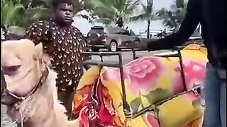 #funny_#funnyshorts_????????(360p).