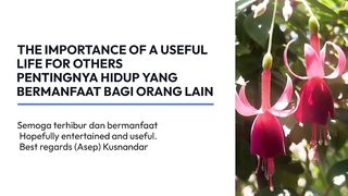 THE IMPORTANCE OF A USEFUL LIFE FOR OTHERS
