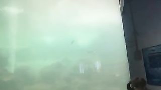 Aquarium 6