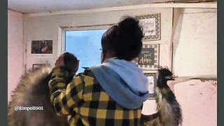 Funny Emu Viral Video 2