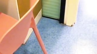 Dog and cat 369