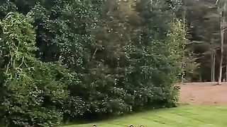 Wao...
