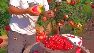 حضرت قاسم بن حسن امام حسن کےبیٹے) Nabipak #ahlebat #crew07 #1m #goviral #foryoupage????viral #1m views ishallah