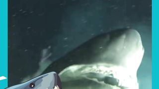 Encontro Tenso nas Profundezas Tubarão Ataca Submarino!