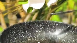 viral video #capcut #tiktok #grow #500k #fyp #tranding #foryou #dance #newtrand #kanwalcutegirl #abibi845821#febspot#allah 16