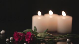Candles Rose Flower