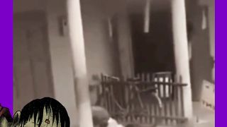 Vídeos Mais Bizarros da Internet!