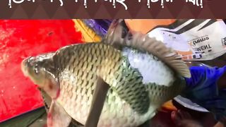 Fish cutting viral video????