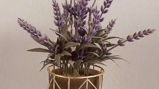 Flowers 23
