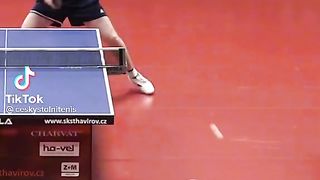 Ping Pong Table Trick shot.