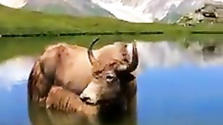 Dunsa Valley Tormik the land of Beauty , Skardu Gilgit Baltistan #
