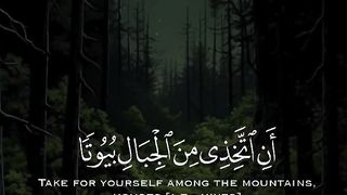Quran 156