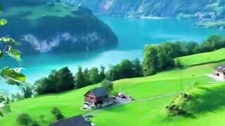 MY VILLAGE GREEN