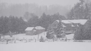 Snow falling video