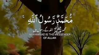 Quran 164