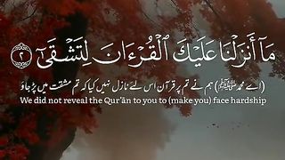 Quran 165