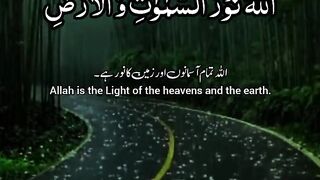 Quran 168