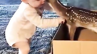 Cutie 7