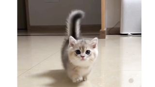 Funny actions 154