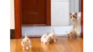 Funny actions 158