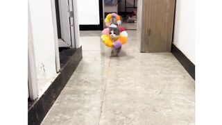Funny actions 159
