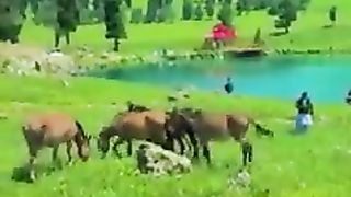 Domail Astore Gilgit Baltistan.#nature #gilgit #beautyofpakistan #astore #skardu #bashiranjhau #hunza