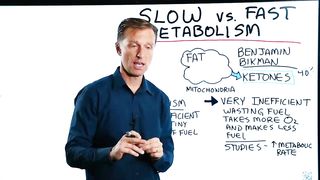 Slow vs. Fast Metabolism: Interesting Difference – Dr.Berg on Increasing Metabolism