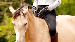 Horse riding 12