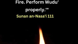 Hadith Perform Ablution Properly #viral #hadithinenglish # #shorts