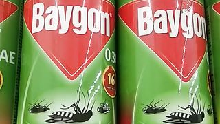 Baygon