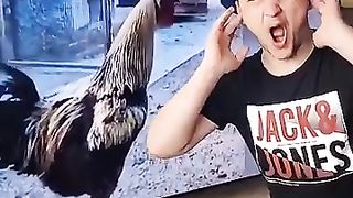 coq_cries_????_#shorts_#funny_#memes(360p).