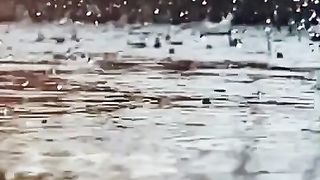 Rain.