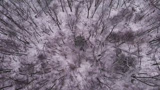 "Natural Symphony: Explore the Breathtaking Beauty of Our Planet"