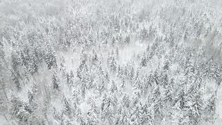 "Wild Serenity: Captivating Views of Mother Nature Unveiled"