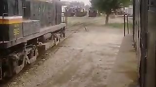 Sibi Loco Shed Rge20