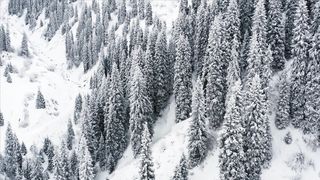 "Earth's Elegance: A Cinematic Odyssey through Natural Marvels"