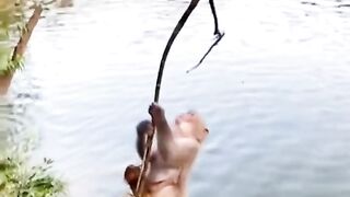 The baby is afraid of the mother hanging