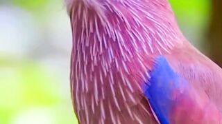 Beautiful nature 153