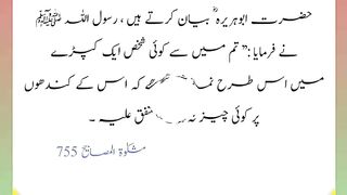 اسلامی معلومات Like share follow 491