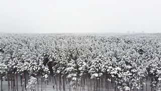 "Vivid Vistas: Exploring the Ever-Changing Tapestry of Nature"