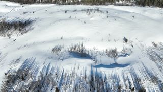 "Radiant Earth: A Cinematic Showcase of Nature's Unfolding Beauty"