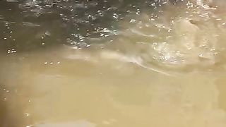 TERBUKTI❗Makin jarang ikan dikolam makin cepat besar